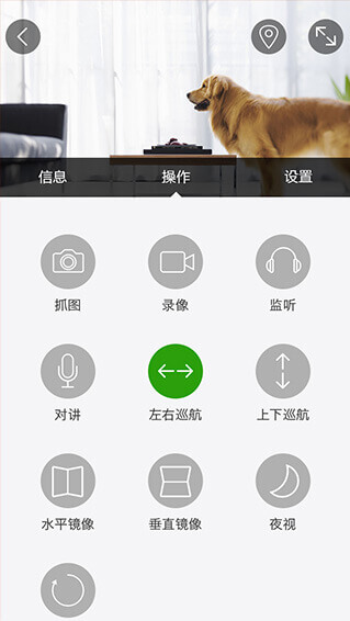 实时监控